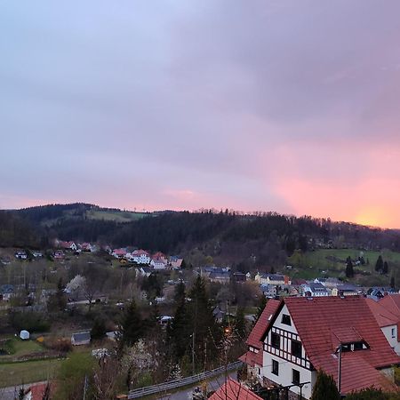 Appartamento Feriendomizil Am Hochwald Dippoldiswalde Esterno foto
